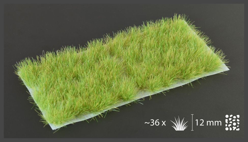 Light Green XL Wild (12mm)