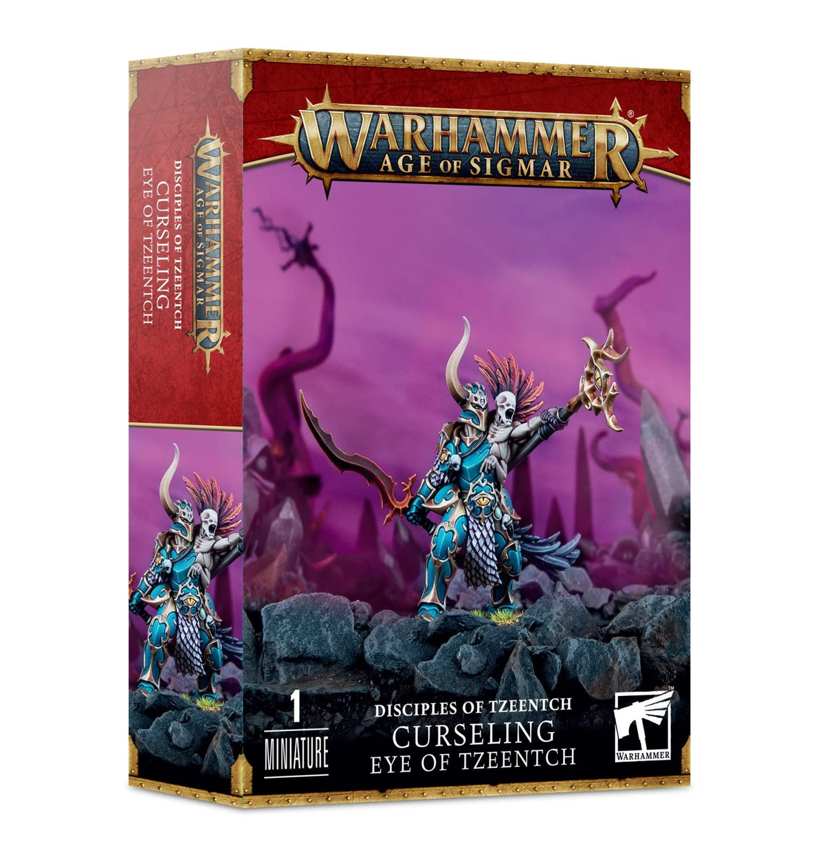Tome-Reader, Eye of Tzeentch