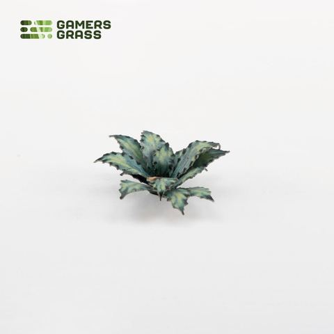 Laser Plants - Blue Agave