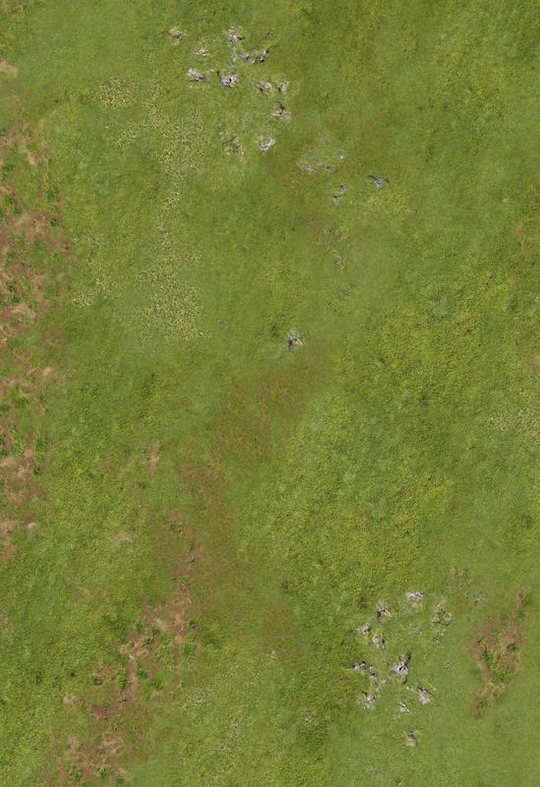 44"x30" Highlands In War with Carrying Bag