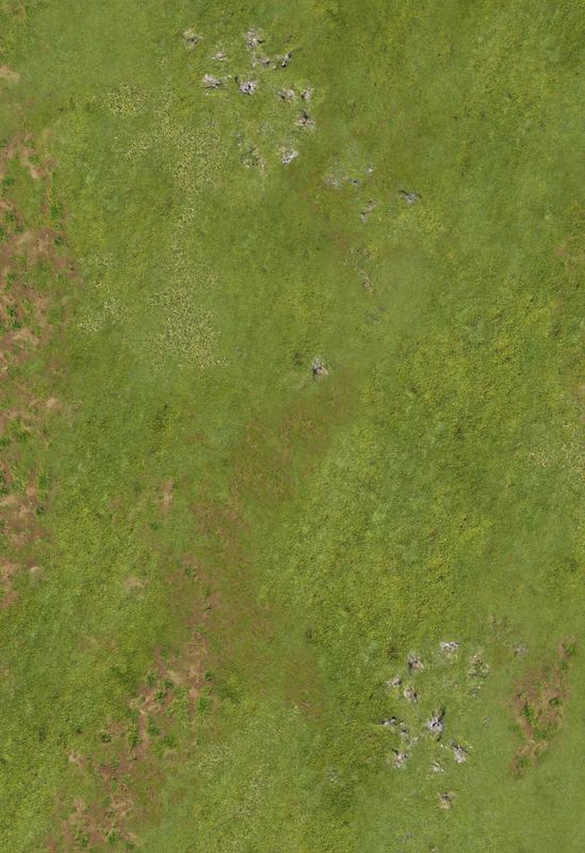 44"x30" Highlands In War with Carrying Bag
