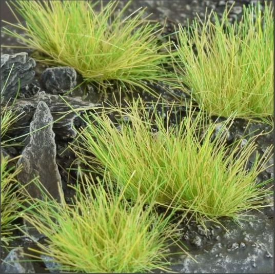 Light Green XL Wild (12mm)