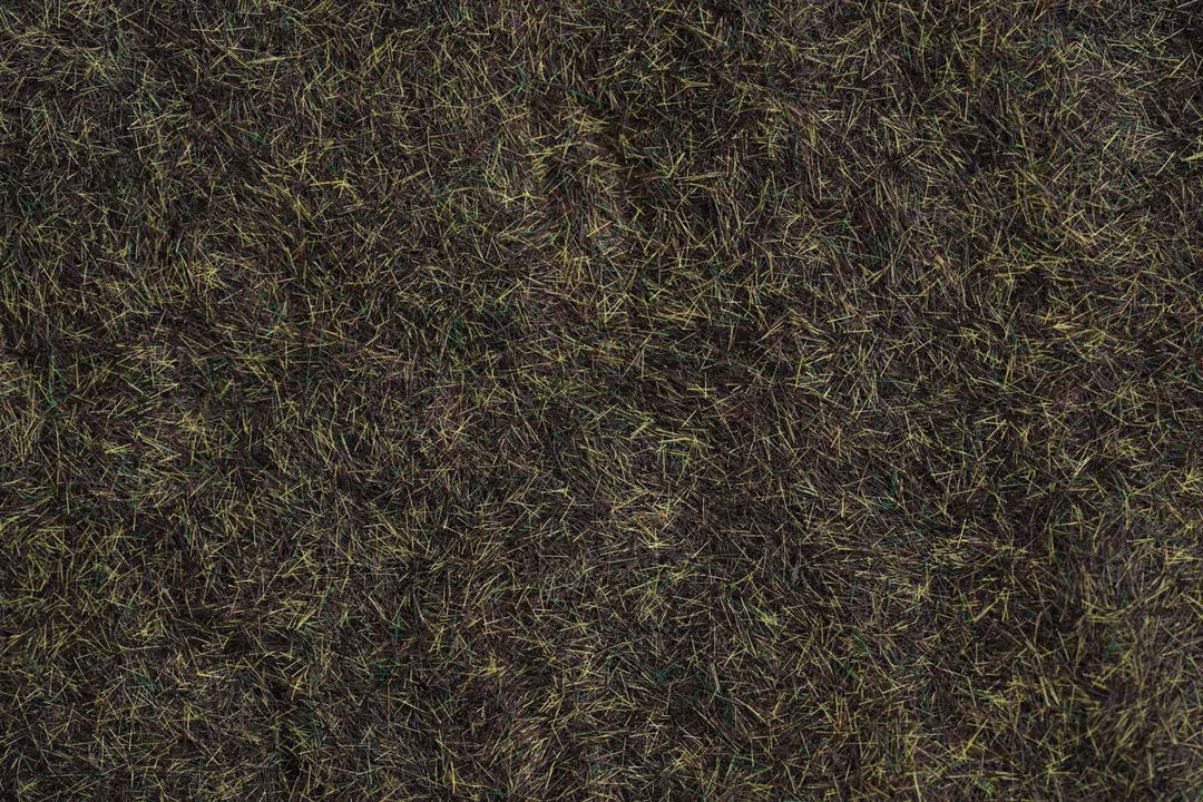 Swampland Grass (6 fl oz)