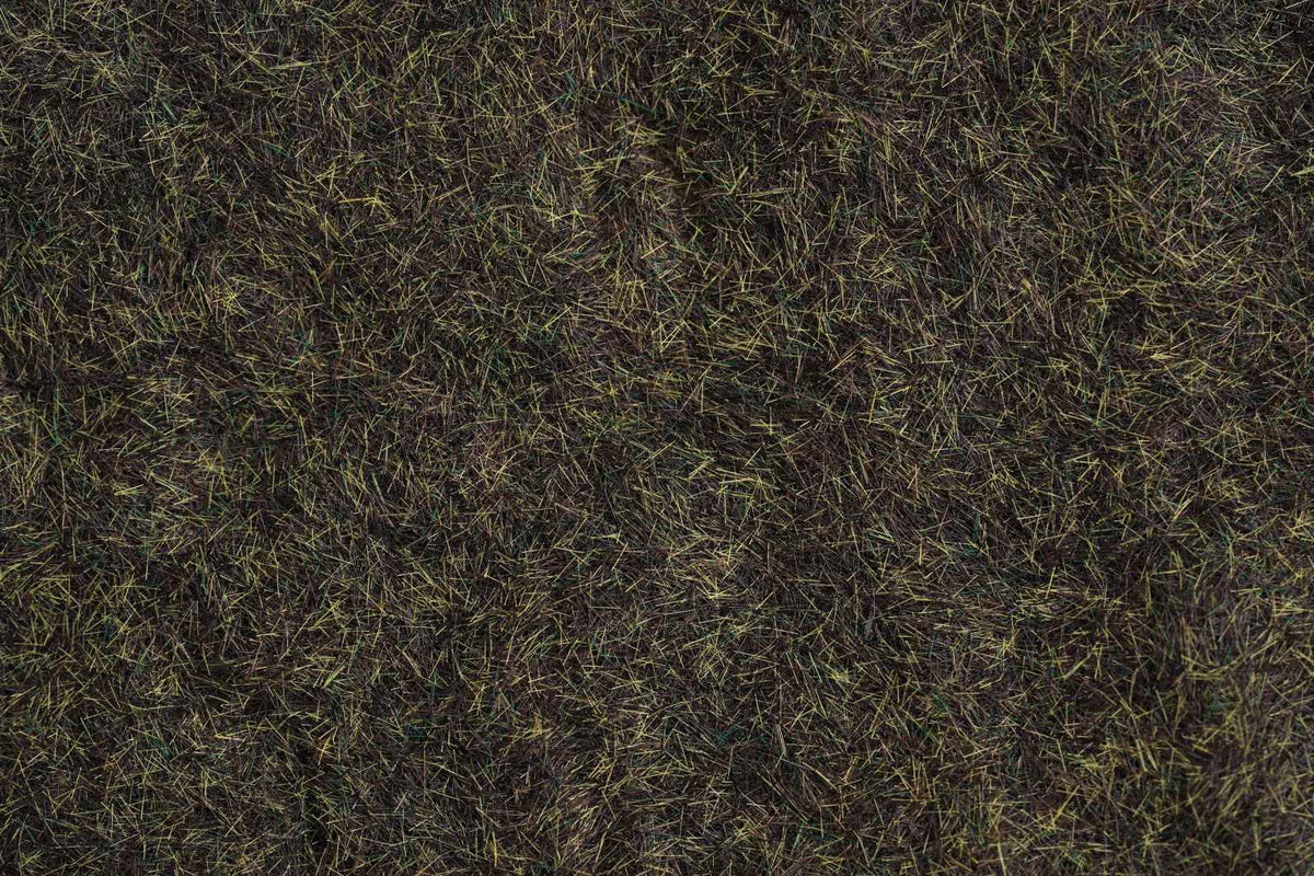 Swampland Grass (6 fl oz)