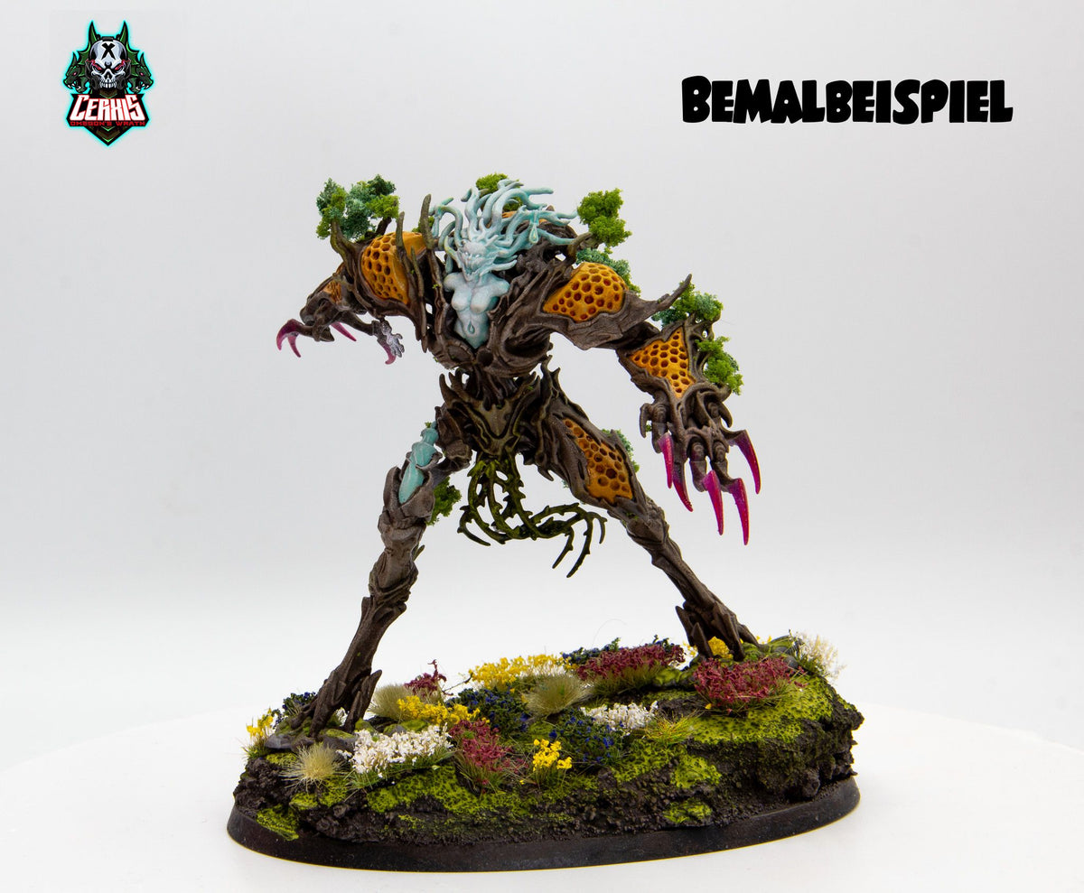 Drycha Hamadreth
