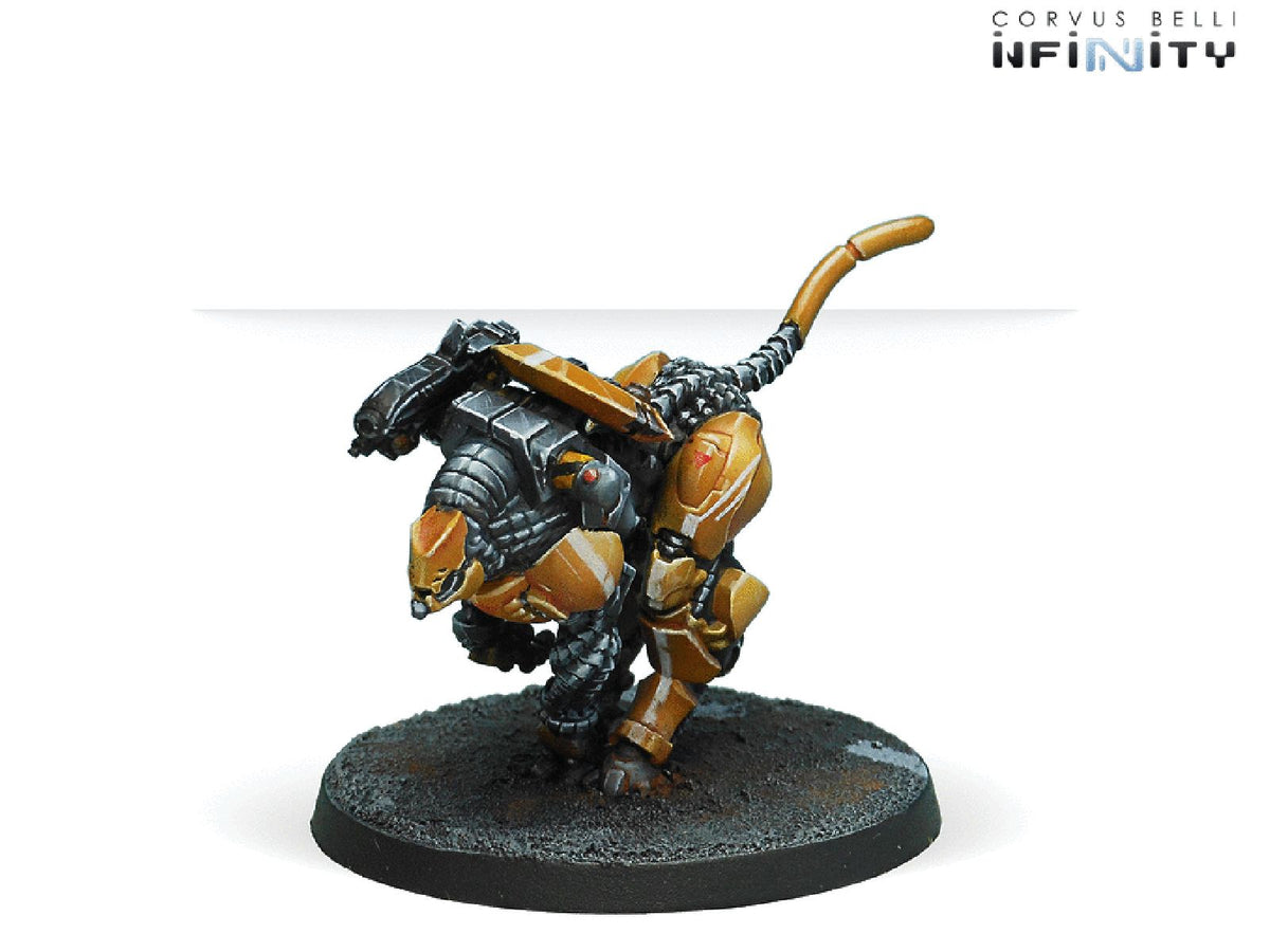 Su-Jian Immediate Action Unit (Light Flamethrower)