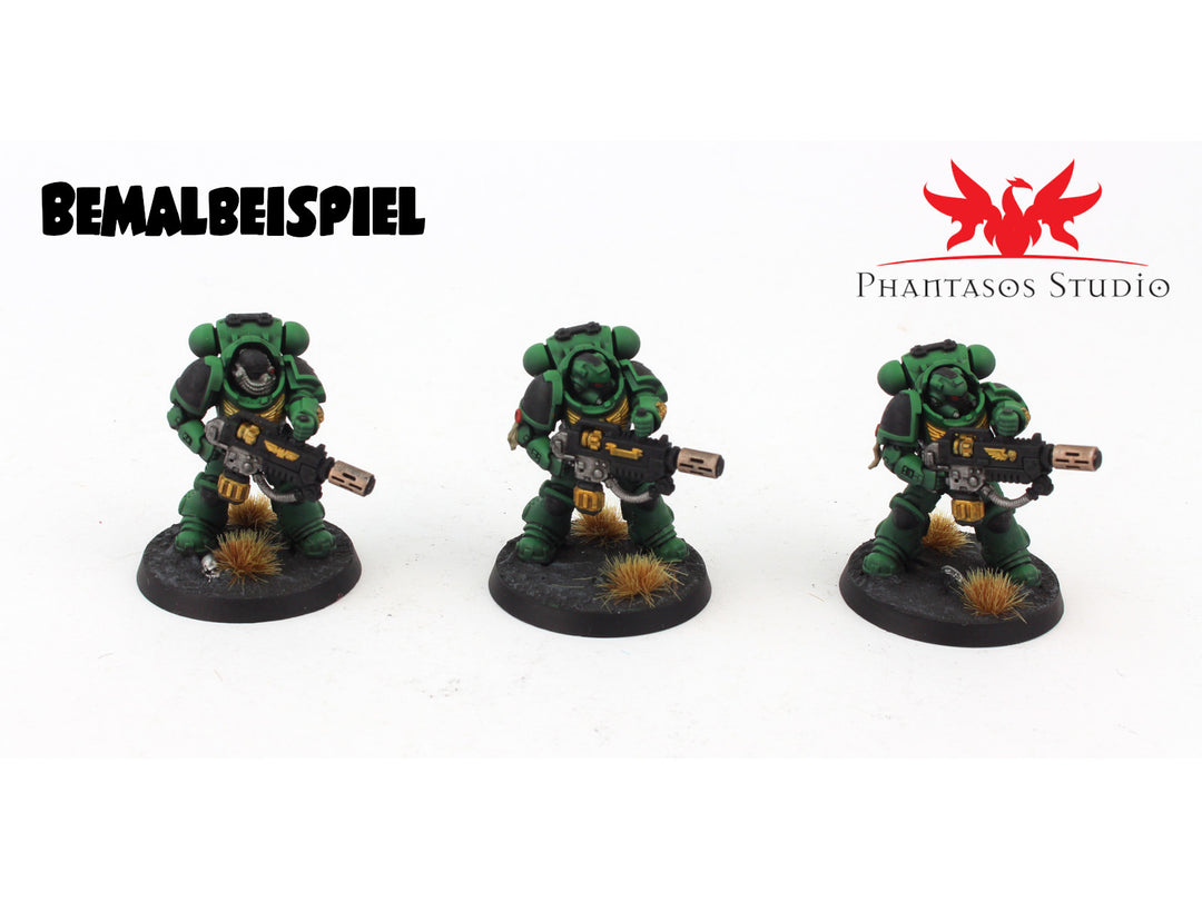 Primaris-Eradicatoren