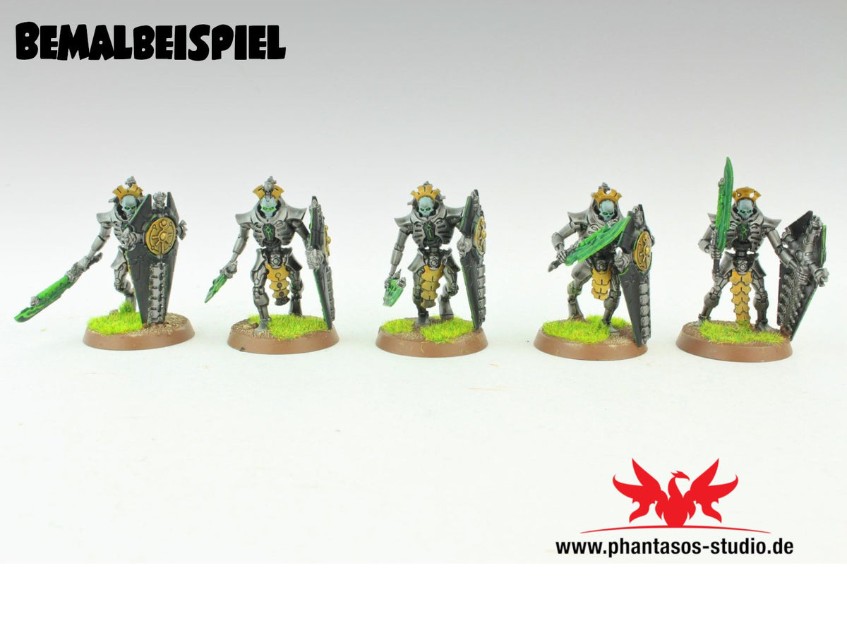 Lychguard/Triarch Praetorians