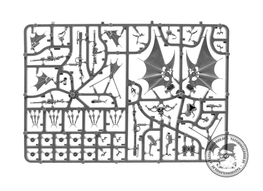 Pteraxii