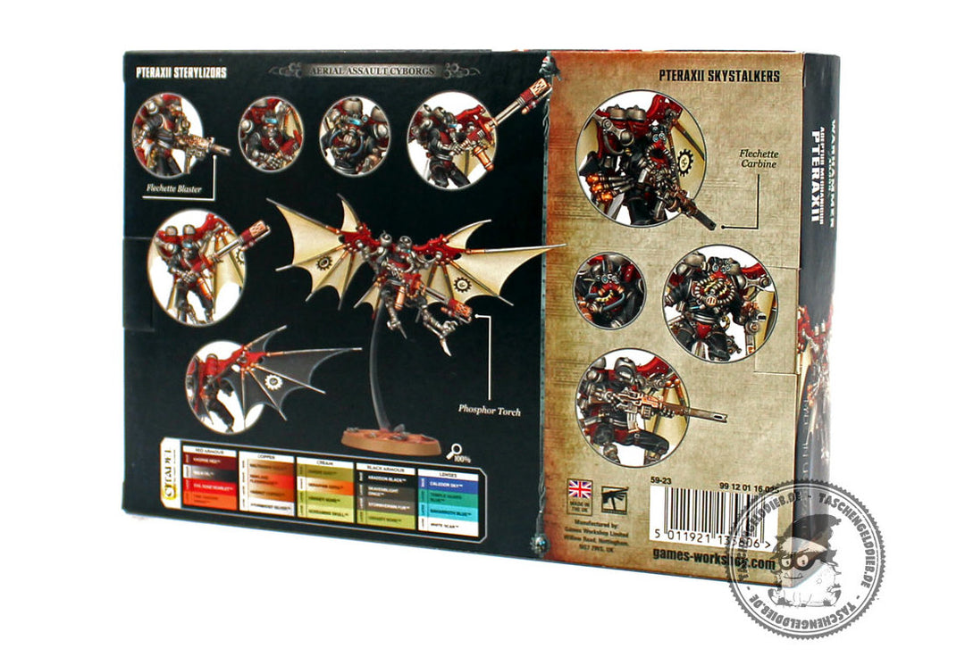 Pteraxii