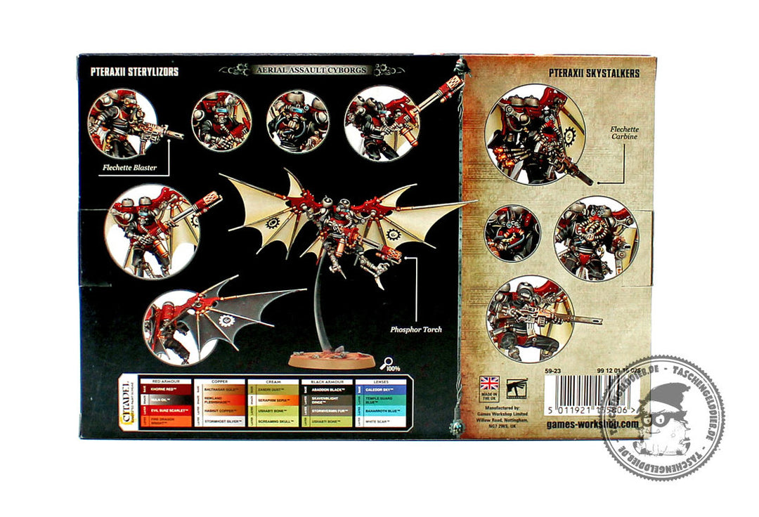 Pteraxii