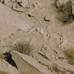 Arid Steppe Bases Oval 60mm (x4)