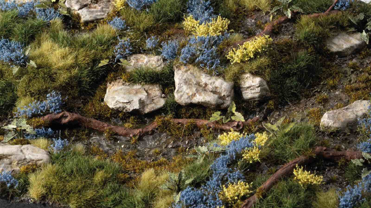 Bluebeard Flowers