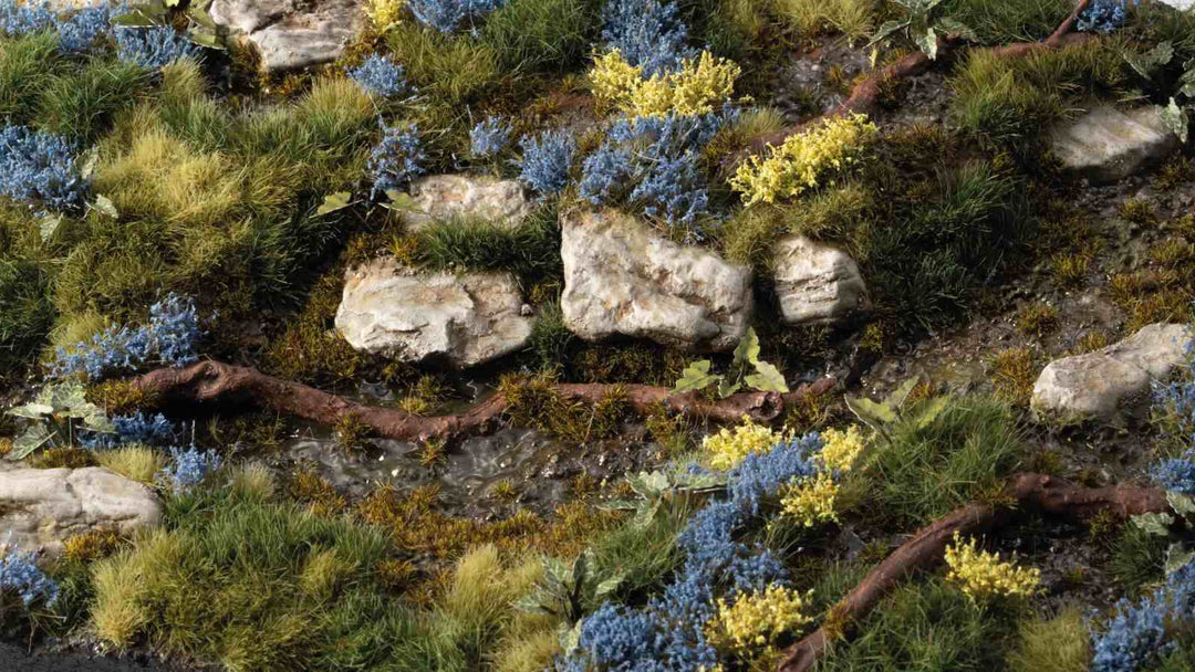 Bluebeard Flowers