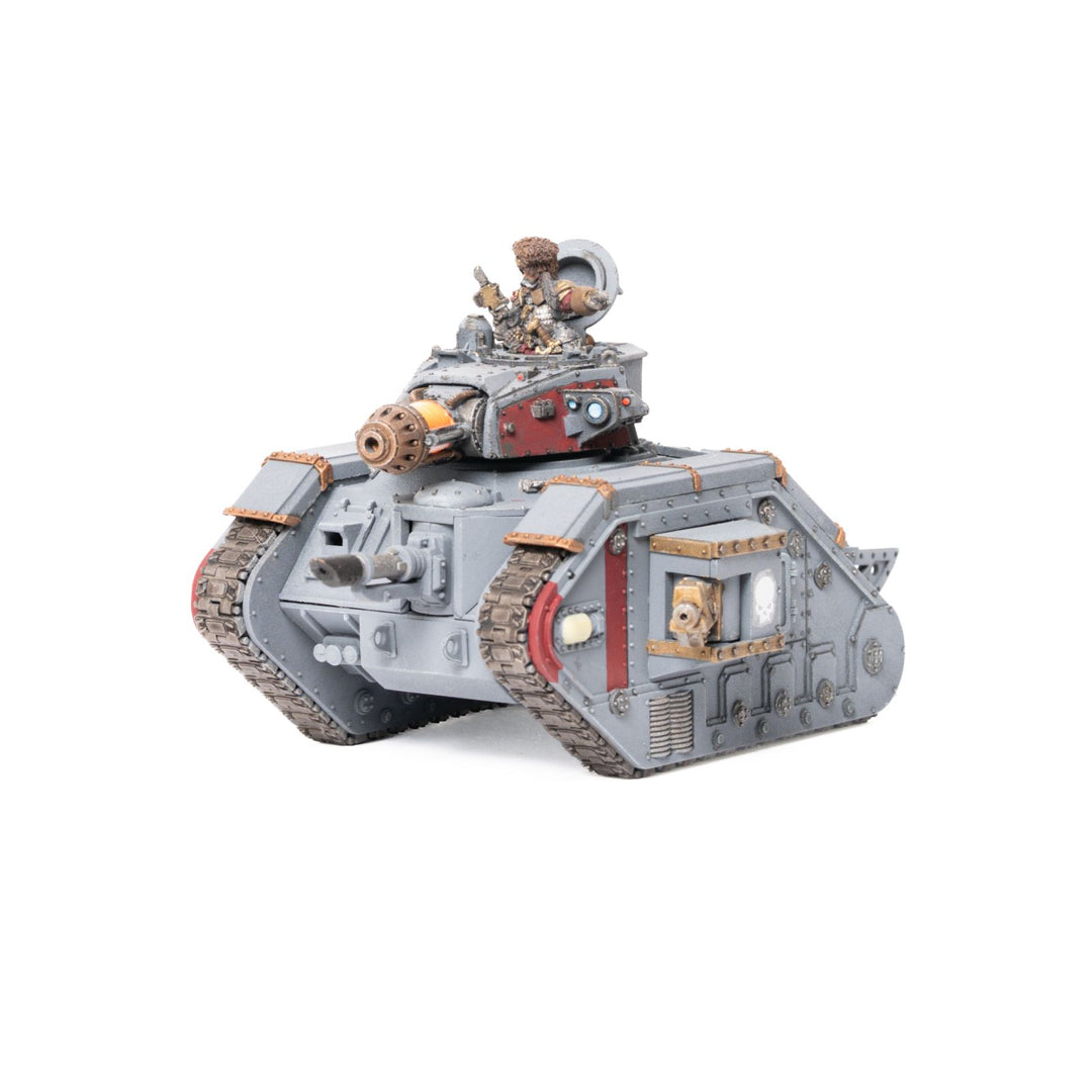 Vostroyans - bemalte Armee