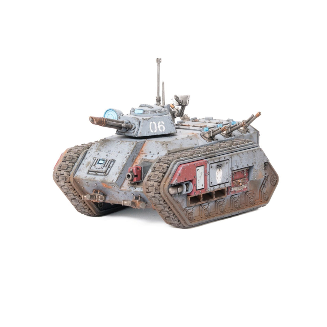 Vostroyans - bemalte Armee