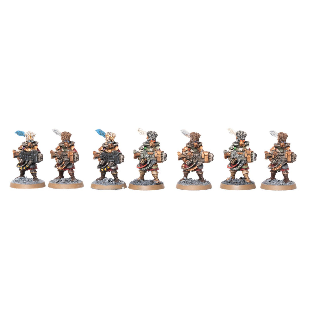Vostroyans - bemalte Armee