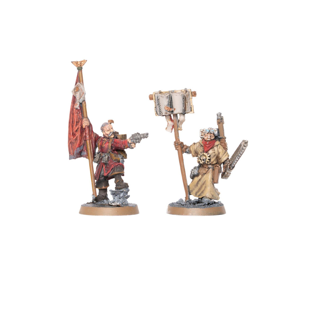 Vostroyans - bemalte Armee