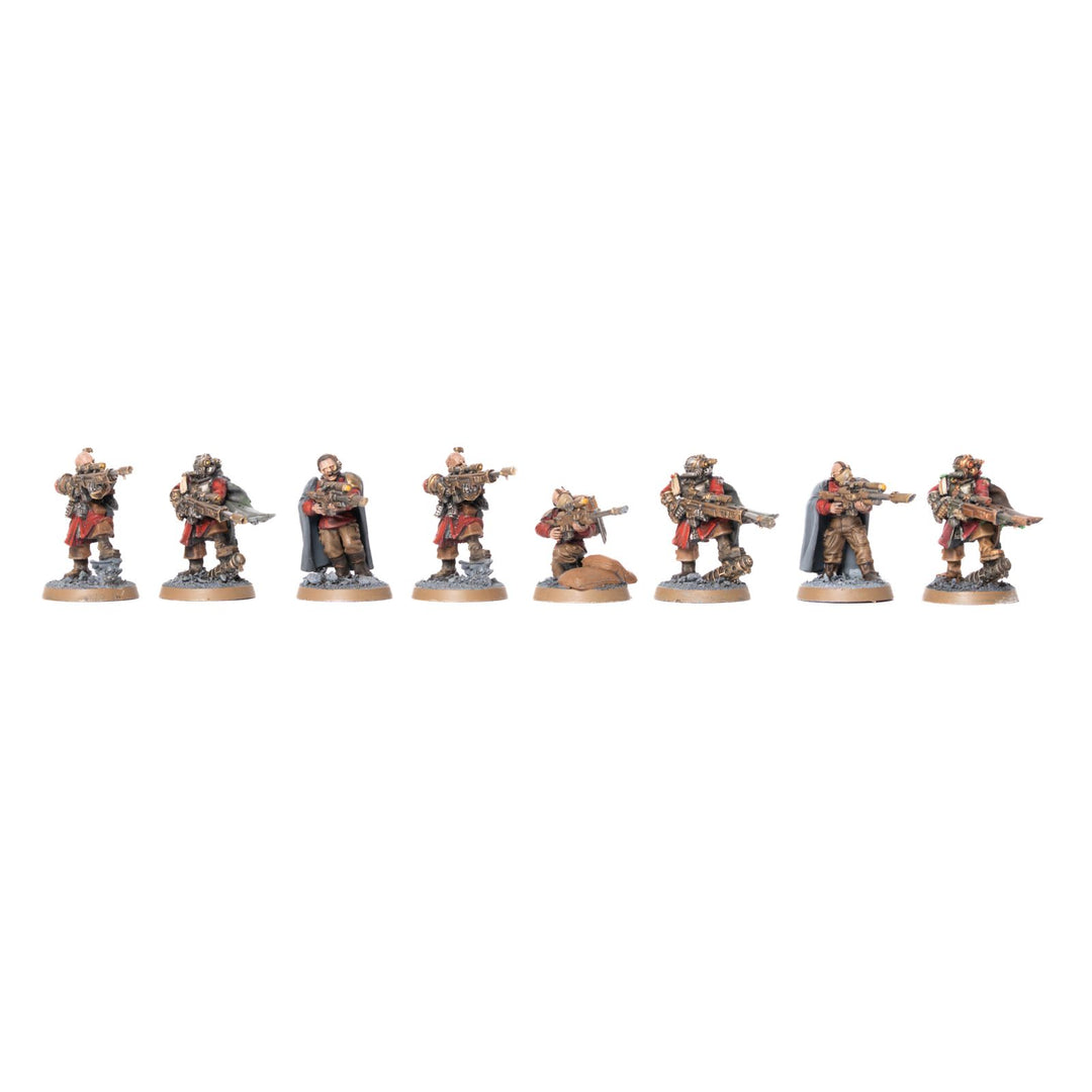 Vostroyans - bemalte Armee