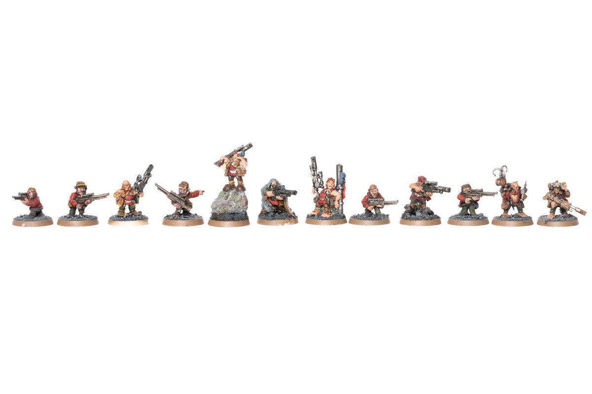 Vostroyans - bemalte Armee