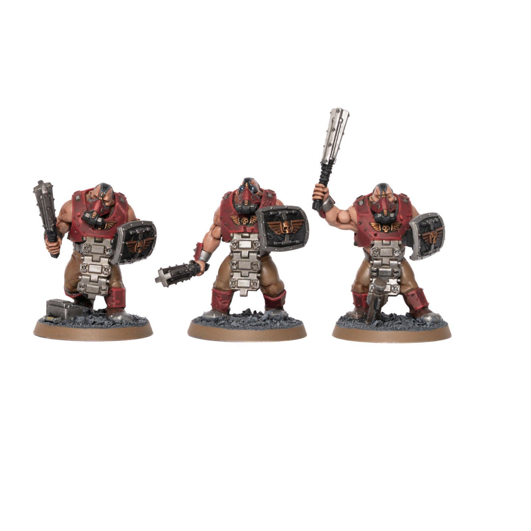 Vostroyans - bemalte Armee