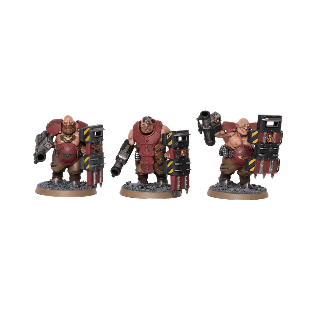 Vostroyans - bemalte Armee