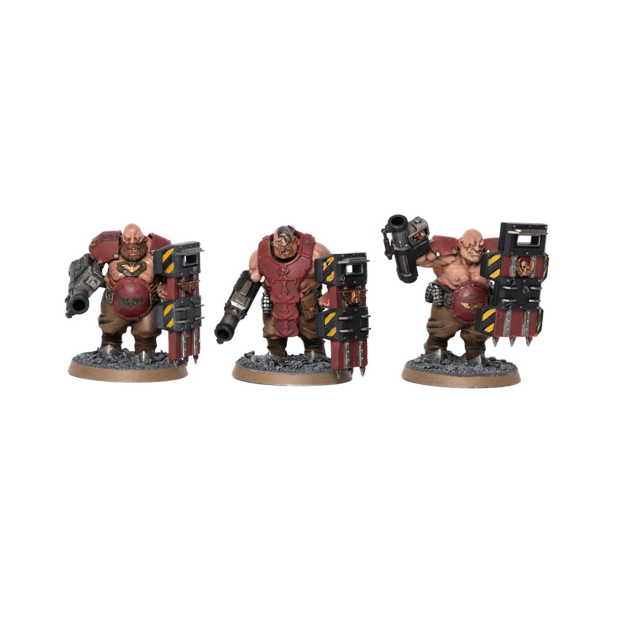 Vostroyans - bemalte Armee
