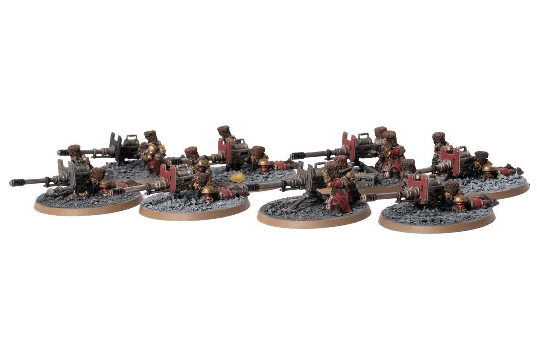 Vostroyans - bemalte Armee