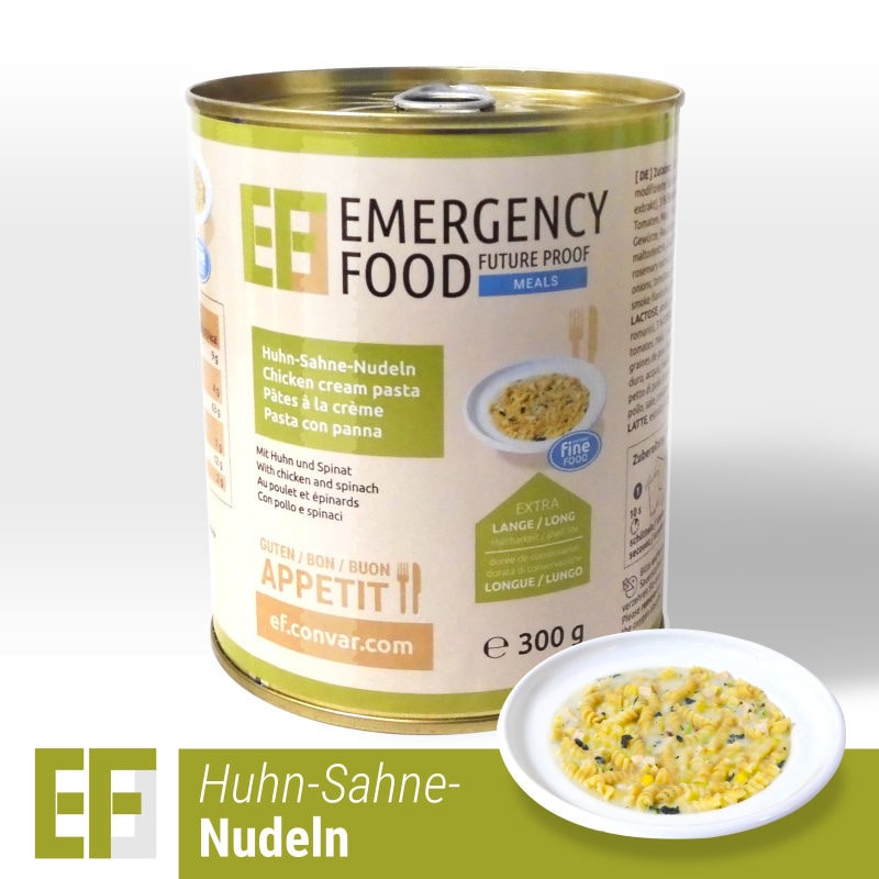 EF Meals Sahnenudeln mit Hühnchen und Spinat (12x300g)