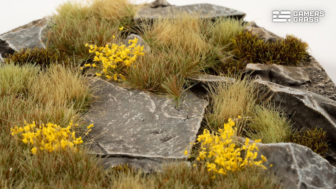 Highland Bases Round 90mm (x1)