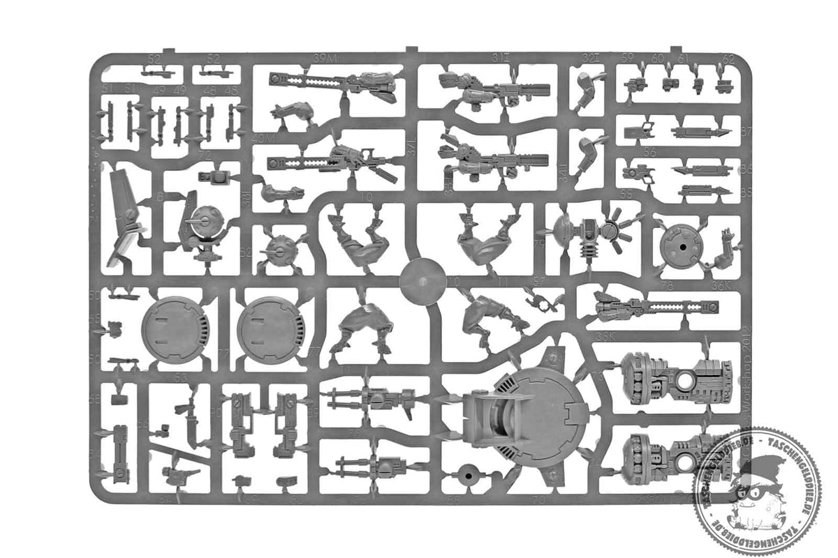Pathfinder Team