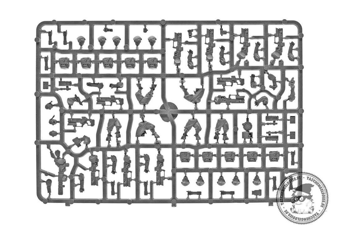 Pathfinder Team