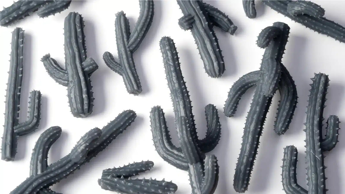 Basing Bits - Saguaro Cacti
