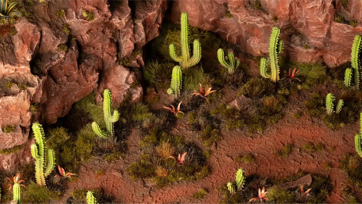 Basing Bits - Saguaro Cacti