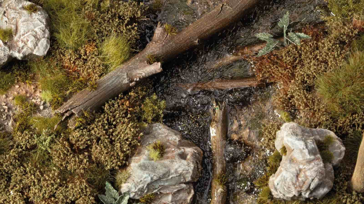 Swamp Shrubs