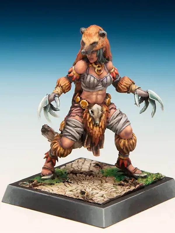 Theme Box Amazons