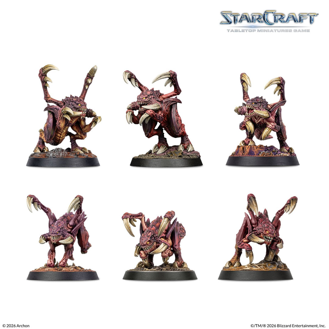Zerg Starter Set
