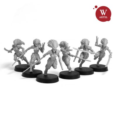 Artel W - Voidstalkers Squad (5 Krieger + Leader)