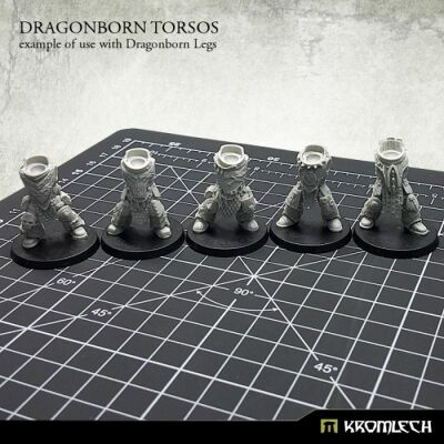 Dragonborn Torsos Kromlech unbemalt Frontansicht Zusammenbaubeispiel