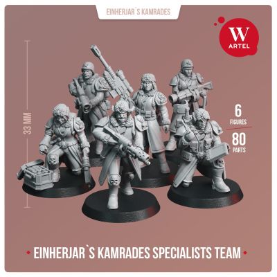 Artel W - Einherjar's Kamrades Specialists Team