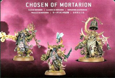 Mortarions Auserkorene
