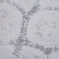 4x4 G-mat: Winter Realm