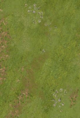44x30 Double Sided G-mat: Highlands In War And Sands of Time