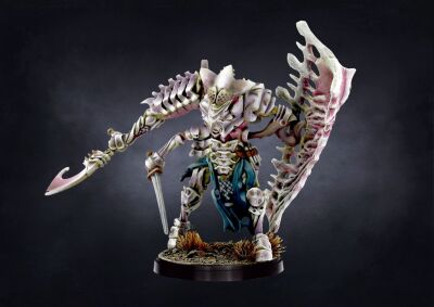 Ward Preceptor