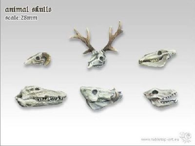 Animals Skulls Set (6)