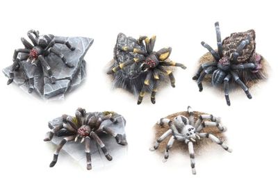 Giant Spiders Set (5)