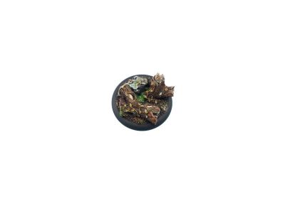 Forest Bases WRound 50mm (1)