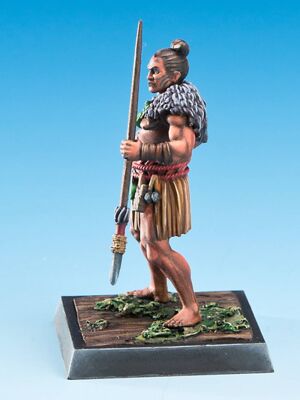 Tohunga Toa