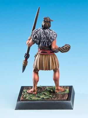Tohunga Toa