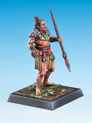 Tohunga Toa